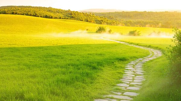 10 stratégies pour une transition écologique durable