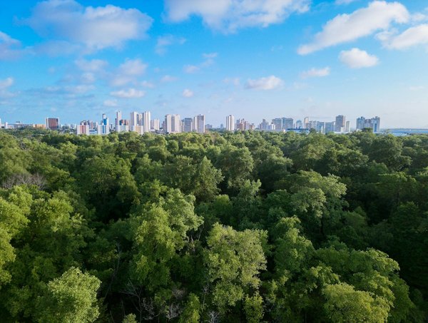 Quels sont les meilleurs conseils pour organiser une soirée de dégustation de fromages artisanaux?