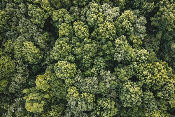 Ng musique : le spécialiste des instruments à vent à votre écoute